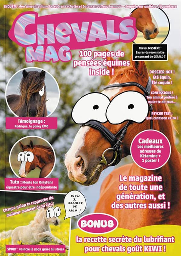 saison 19 épisode 07